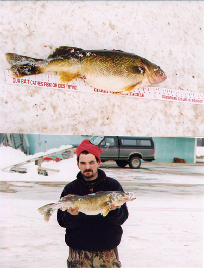 Pine Lake Walleye