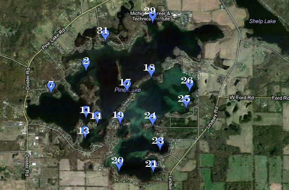 2008 DNR Pine Lake Milfoil map